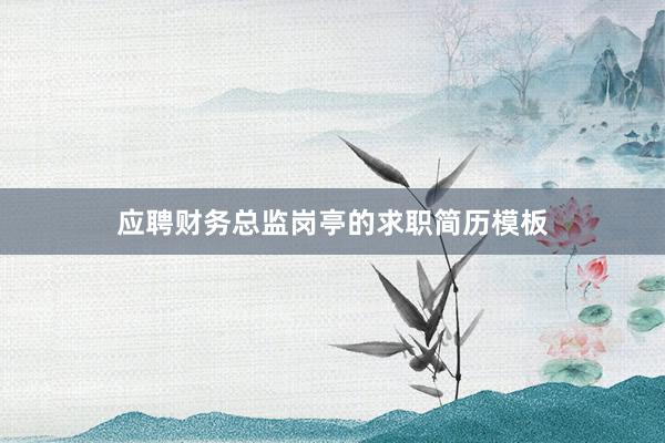 应聘财务总监岗亭的求职简历模板
